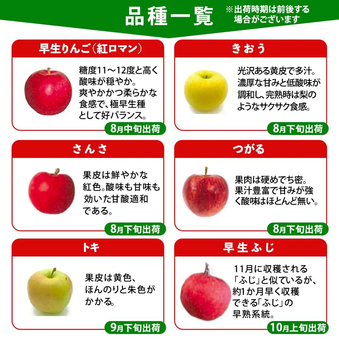 【ご家庭用】りんご 品種おまかせ 2種Mix 3kg（6～11玉） (FH001)
