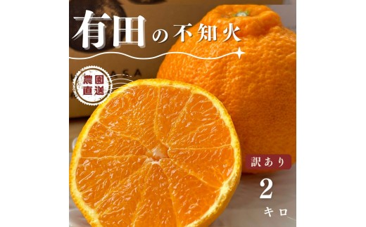 
            【ふるさと納税】【先行予約】 不知火 2kg 訳あり サイズ混合 柑橘 フルーツ  産地直送 お取り寄せ 送料無料
          