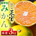 【ふるさと納税】【愛媛名産】極早生みかん 3kg【C64-18】【1510670】