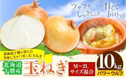 玉ねぎ 10kg パワーウルフ 山下農場《2026年9月中旬-10月末頃出荷》 北海道 本別町 たまねぎ タマネギ 万能 北海道産