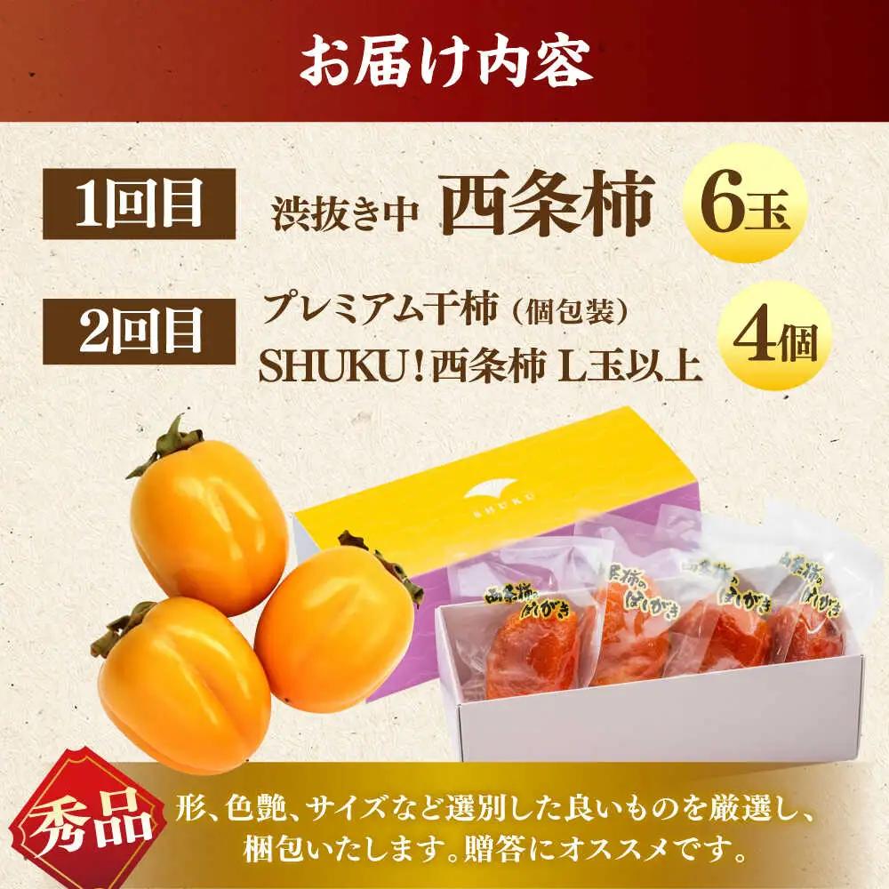 フルーツ 【先行予約】【10個限定】【全2回定期便】柿の贅沢セット！ 合わせ柿6玉 プレミアム干し柿SHUKU  L玉以上4玉   島根県松江市/マルカミ農縁株式会社 [ALCM017] フルーツ フ