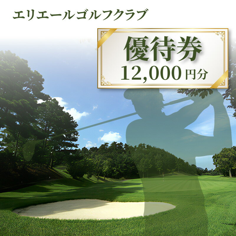 【ふるさと納税】エリエールゴルフクラブ 優待券 12,分 父の日 ゴルフ場利用券 利用券 ゴルフ利用券 ゴルフ場プレー券 ゴルフプレー券 ゴルフ場チケット ゴルフチケット ゴルフ場 ギフト券 ゴルフ場利用券 利用券 チケット ゴルフ場チケット チケット購入 秋 旬