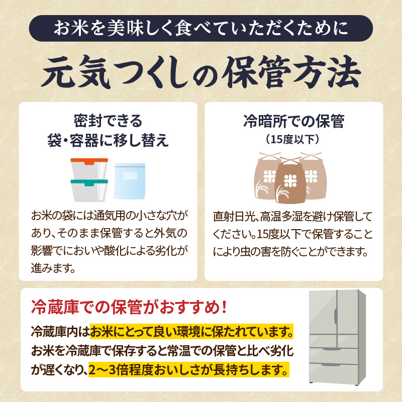 九州・福岡からお届け！ブランド米「元気つくし」定期便 10kg(5㎏×2)【全10回】  お米 米 コメ 白米 特A 直送 お弁当 おにぎり 炊きたて ツヤ 粘り もちもち 弾力 卵かけご飯 福岡県 