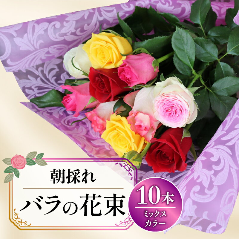 【ふるさと納税】 バラ 10本 ミックスカラー 花束 ブーケ 朝摘み 新鮮 薔薇 花 ばら ローズ 生花 ギフト プレゼント 祝い 贈り物 贈答 記念日 誕生日 結婚祝い 母の日 父の日 敬老の日 お祝い 記念品 フラワー 藤枝市 静岡県