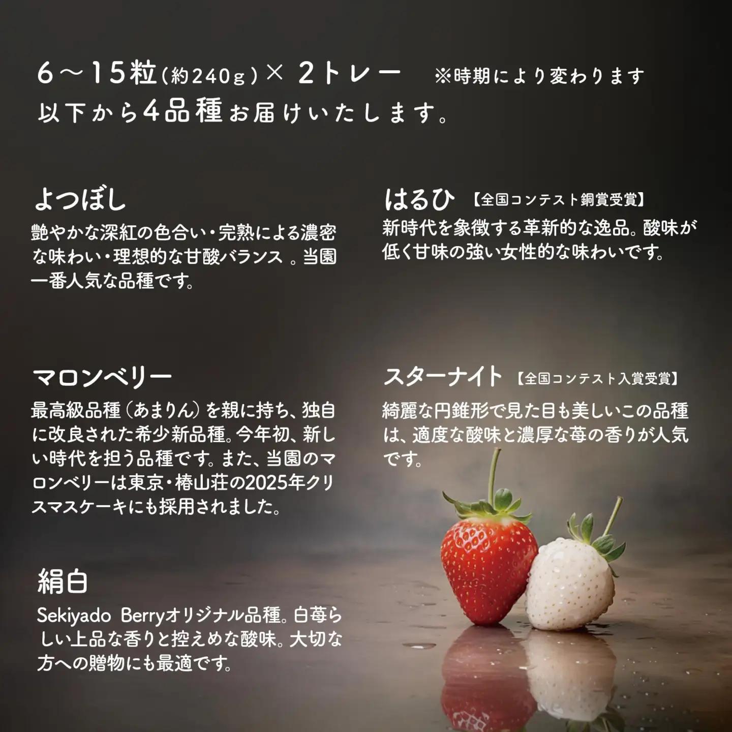 【2026年先行予約】いちご 厳選 4品種食べくらべ 約480g (約240g×2トレー) K2630