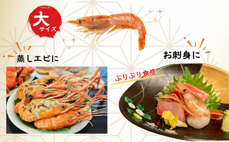 鮮度抜群！ボタンエビ 8～12尾 約400g 水揚げ直後に発送 新鮮 大きい 鮮やか 日本海直送 生 刺身 ぼたん海老 魚正 糸魚川
