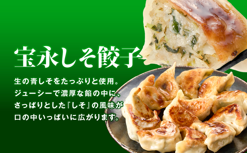 【定期便・全3回 4ヶ月毎】手包み餃子 ぎょうざの宝永 しそ餃子30個セット（宝永餃子15個入×1袋・しそ餃子15個入×1袋）　T004-T04-02-01