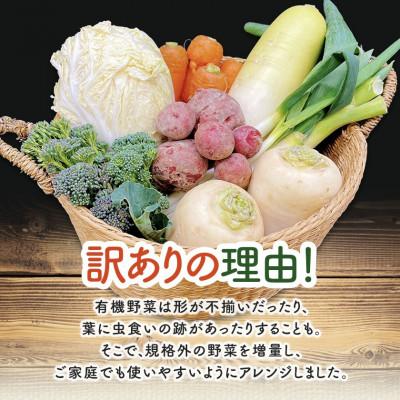 ふるさと納税 掛川市 【毎月定期便】しあわせ野菜畑のシェフLセット(訳あり規格外の有機野菜を一部使用)全3回 |  | 01