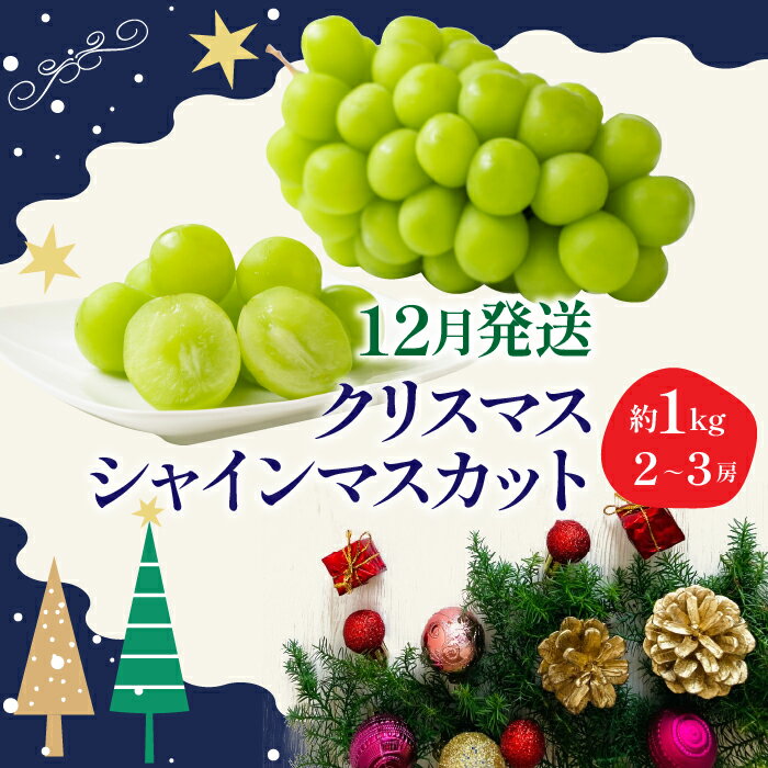 【ふるさと納税】＜25年発送先行予約＞ 冬季限定！！ 山梨県笛吹市産 クリスマスシャインマスカット 約1.0kg 2～3房 ふるさと納税 クリスマス シャインマスカット 笛吹市 国産 人気 期間限定 ぶどう ブドウ 葡萄 プレゼント 贈り物 果物 フルーツ 山梨県 送料無料 105-020