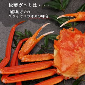 【倉吉魚市】ボイル松葉がに（特大）ボイル前 1kg以上 松葉ガニ ズワイガニ