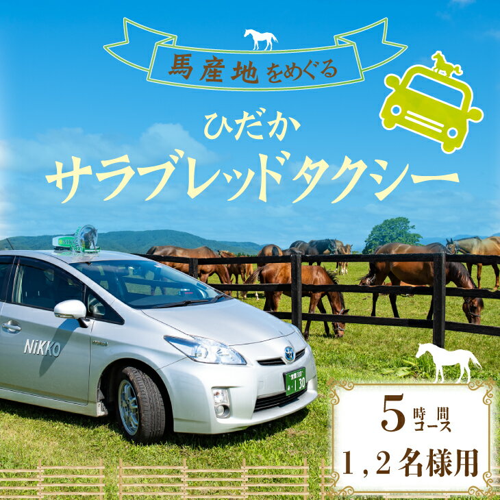 【ふるさと納税】馬産地をめぐる「ひだかサラブレッドタクシー」5時間(1,2名様)コース[41-1104] 北海道 浦河 ふるさと納税 タクシー 観光 馬 牧場 サラブレッド 1.2名様 ランチ付 送料無料