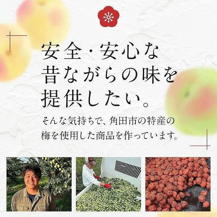 【先行予約】梅干し 宮城県角田産 無添加 まごころ手作り梅干し(270g)・練り梅(160g)１セット【10月上旬以降順次発送】｜梅干し 練り梅 パウチ