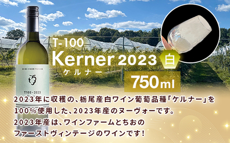 24-08T100 ワイン720ｍｌ×3本セット【ワインファームとちお】