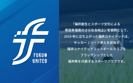 福井ユナイテッドFCオーセンティックユニフォーム Lサイズ 【サッカー 福井ユナイテッドFC ユニフォーム オフィシャル サポーター Tシャツ スポーツ 半袖 半そで グッズ オリジナル デザイン フ