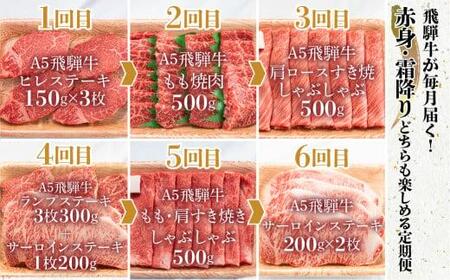 肉の匠家 飛騨牛 定期便 肉 6回 ( ステーキ 焼肉 すき焼き ヒレ ランプ ) ・ 霜降り 食べ比べ 牛 お肉 TR3347 【飛騨牛 和牛ブランド 飛騨牛 黒毛和牛 飛騨牛 岐阜 飛騨牛】