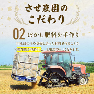 特別栽培米コシヒカリ 2025年10月発送 令和7年産 コシヒカリ コシヒカリ コシヒカリ コシヒカリ コシヒカリ
