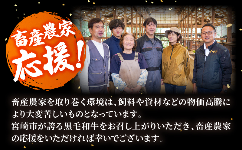 畜産農家応援！宮崎牛 ロースステーキ 250g×2 国産 高級 焼肉 BBQ 牛肉 ブランド牛 ギフト 霜降り肉 ミヤチク