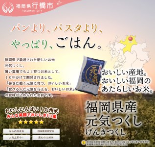 AF-019　福岡県産元気つくし【研ぐお米】10kg