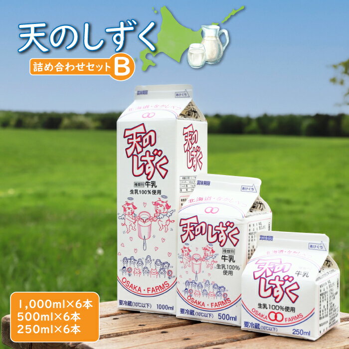 【ふるさと納税】天のしずく 詰め合わせセットB 1000ml×6本 500ml×6本 250ml×6本 牛乳 ミルク　生乳100％ お取り寄せ 贈り物 中温殺菌 OSAKA FARMS 北海道 中標津町 中標津【51002】