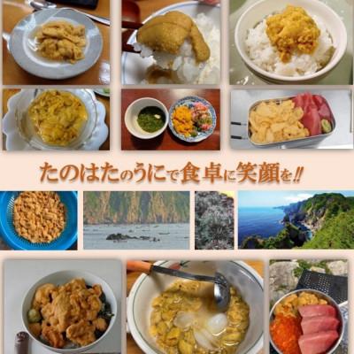 ふるさと納税 田野畑村 【予約・7月中旬発送】岩手・三陸　小さな村のきれいな海で育った　瓶入り　濃厚生うに(160g×2本) |  | 01