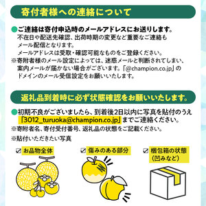 【令和8年産】さくらんぼ 紅秀峰　バラ詰め 1kg　Lサイズ以上　山形県鶴岡市　鶴岡中央青果　| サクランボ チェリー 山形 鶴岡 庄内産 東北 果物 くだもの フルーツ 1キロ 産地直送 甘い 完熟