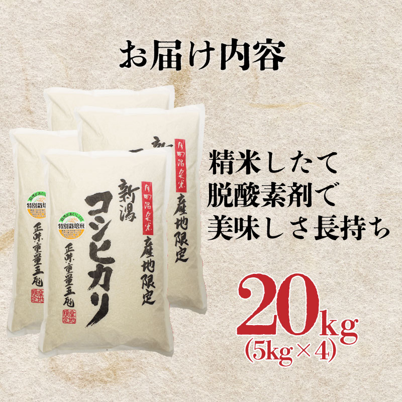 【特別栽培米】こしひかり 20kg 新潟産 新発田産 こめ  watasho006