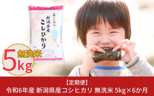 [定期便5kg×6か月] 令和6年産 無洗米 新潟県産コシヒカリ 計30kg こしひかり 6か月連続でお届け [株式会社白熊]【041S006】