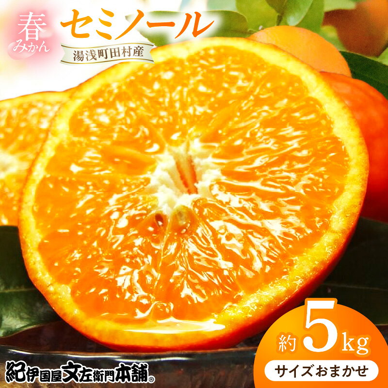 【ふるさと納税】【2027年先行予約】セミノールオレンジ 約5kg 湯浅町田村産 春みかん （果実サイズおまかせ）/ 紀伊国屋文左衛門本舗