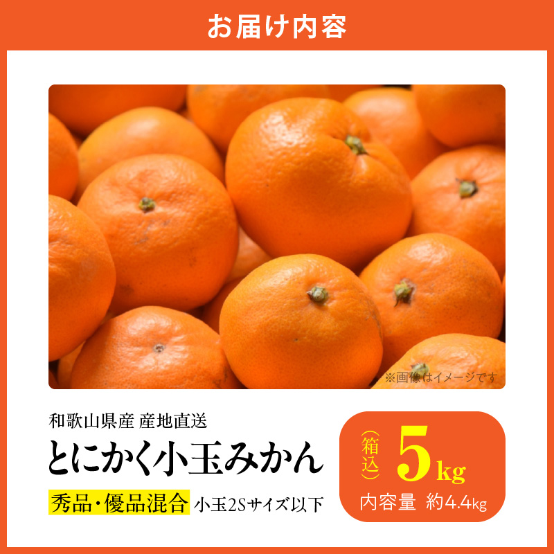 MK1040_【2025年先行予約】みかん とにかく 小玉 箱込 5kg ( 内容量 4.4kg ) 2Sサイズ以下 秀品 優品 混合 有田みかん 和歌山県産 産地直送 【みかんの会】