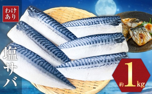 訳あり 塩サバ 1kg 海鮮 無添加《3-7日以内に出荷予定(土日祝除く)》切り身 千葉県 勝浦市  株式会社西川 塩 さば サバ 魚 無添加 鯖 冷凍 塩さば 規格外 大容量【配送不可地域あり】(離島)