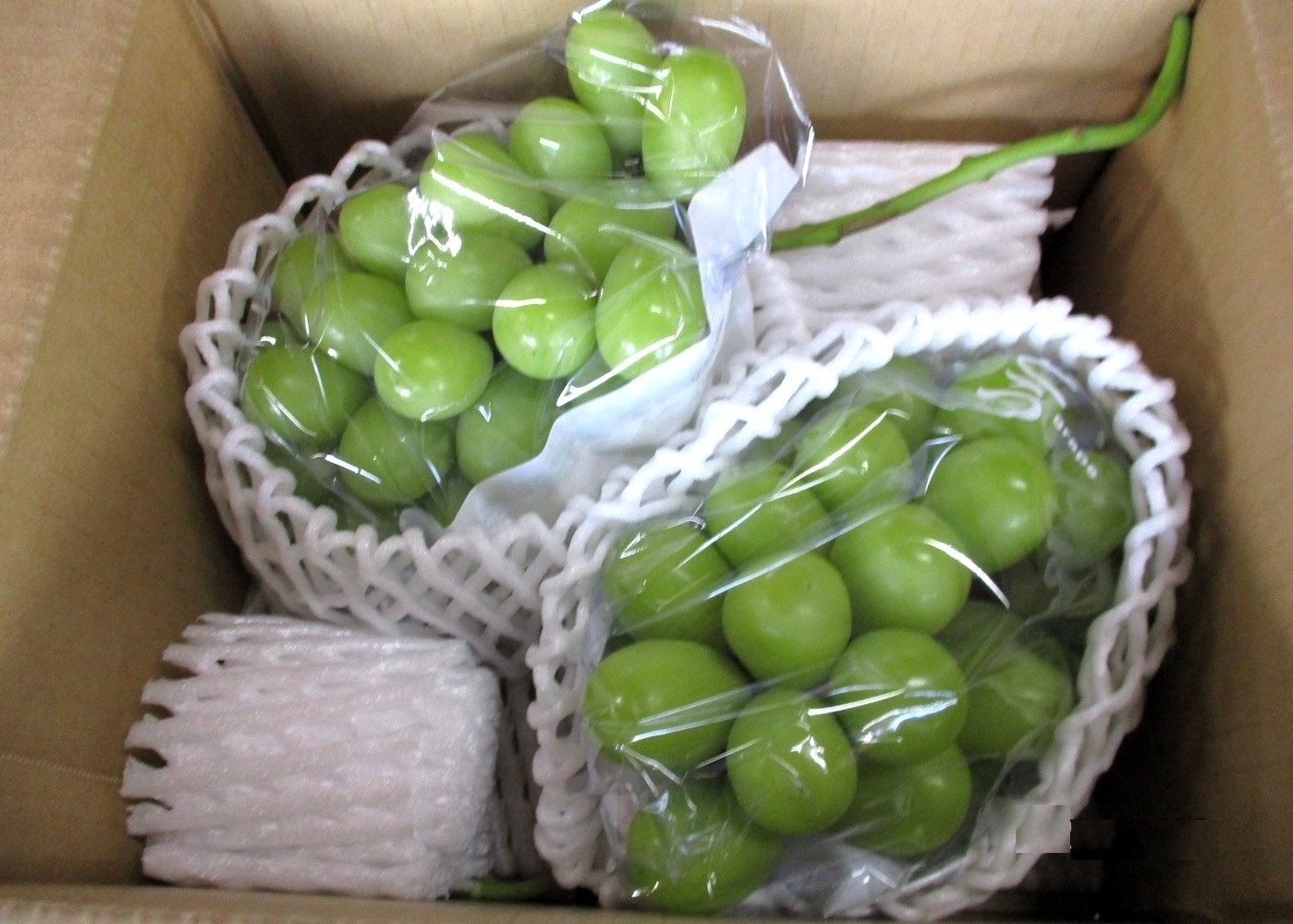 
                  ぶどう（シャインマスカット）１.５ｋｇ　ご家庭用　0025-2612
                