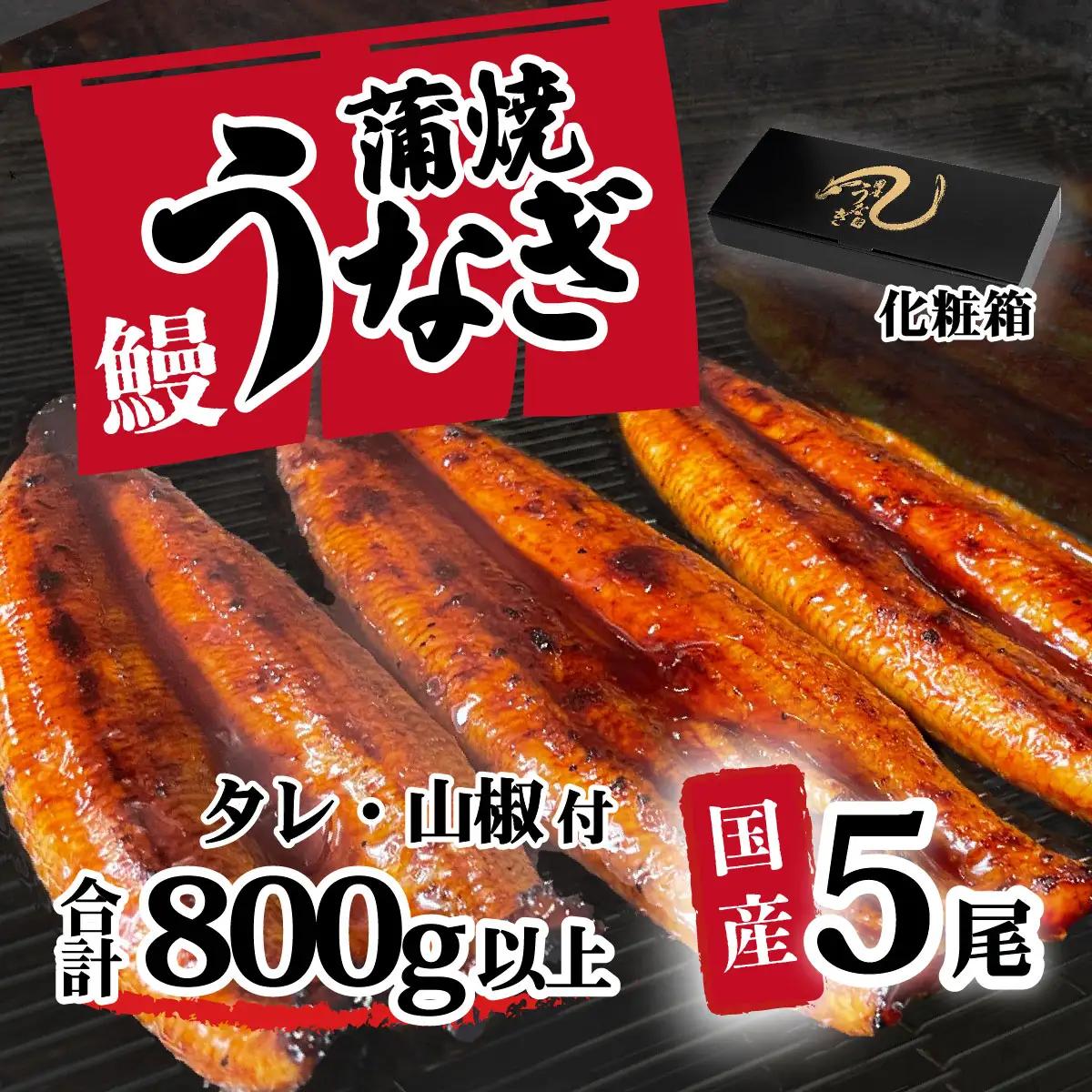 うなぎ 国産 うなぎ 蒲焼き 5尾 800g 化粧箱