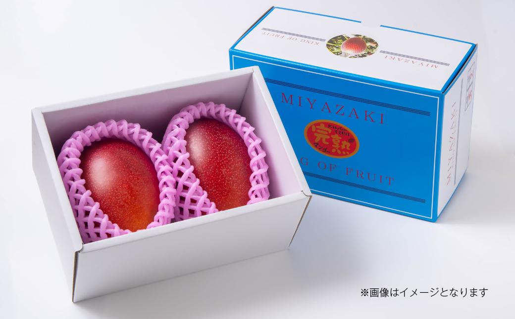 【先行予約】最高級ブランド『太陽のタマゴ』4L×2個【糖度15度以上】宮崎県西都市産完熟マンゴー<5-16>宮崎マンゴー 果物 フルーツ 甘い