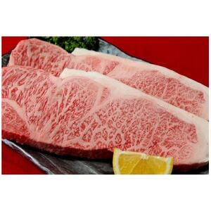 仙台牛サーロインステーキ　600g(約300g×2枚/2人分)【配送不可地域：離島】【1541363】