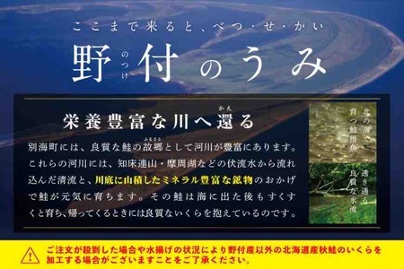 いくら！いくら！いくら！北海道産いくら醤油漬け 500g　（ いくら イクラ 鮭卵 醤油漬け 北海道 野付 別海町 人気 ふるさと納税 ）