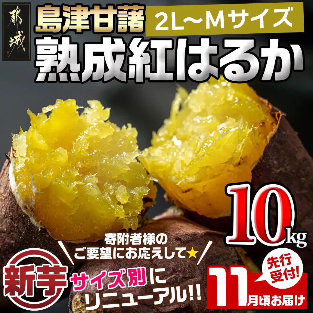 先行受付!【11月お届け】島津甘藷　熟成紅はるか 10kg(2L～M)_12-A7-001-10kg-11_(都城市) 島津甘藷 紅はるか 未選別 10kg 2L～M