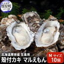 【ふるさと納税】北海道 厚岸産 生食用 殻付カキ Mサイズ 10個 マルえもん 牡蠣　魚貝類・生牡蠣・かき