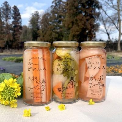 ふるさと納税 古河市 【無添加】季節の森ファームのピクルス 6個セット | ピクルス ぴくるす 野菜ソムリエ _BI89 |  | 01