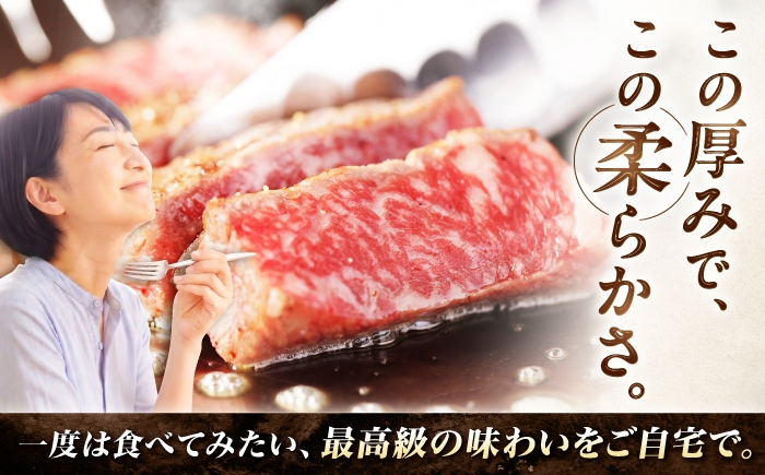 博多和牛 シャトーブリアン ステーキ ヒレ 福岡県産 希少部位