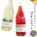 【ふるさと納税】寄附額改定↓ 北海道岩見沢市の風土を生かした宝水ワイナリーワイン2本セット（白・ロゼ）【31101】