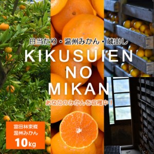 温州みかん 富田林市東條産10kg 【菊水園】 甘い美味しい みずみずしいと人気の柑橘です。_果物・フルーツ みかん  ミカン 蜜柑_【1284423】