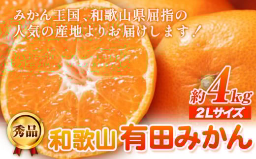秀品 和歌山有田みかん 約4kg(2Lサイズ) 厳選館《11月中旬-1月末頃出荷》 和歌山県 日高町 みかん 有田みかん 柑橘 フルーツ