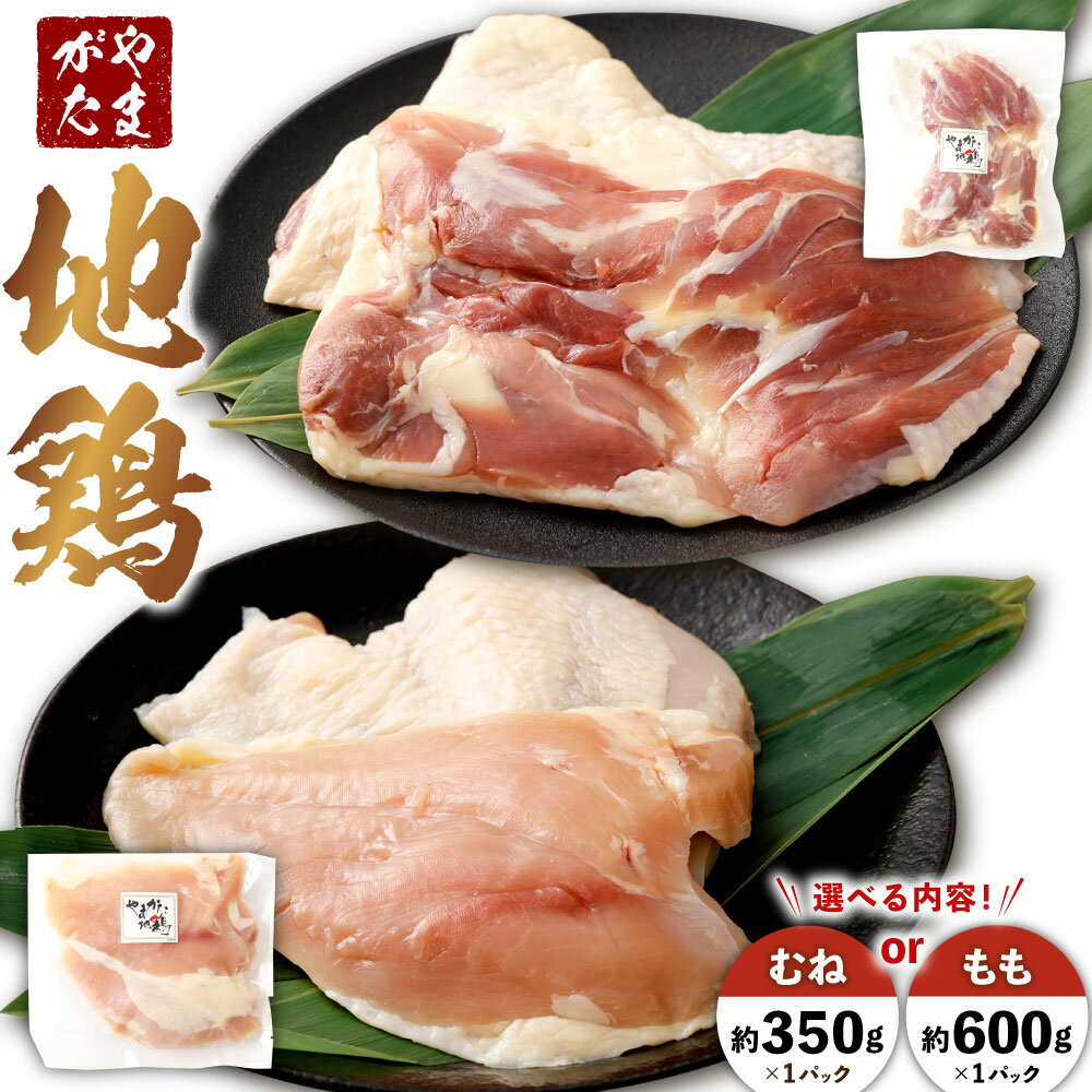 【ふるさと納税】＼レビューキャンペーン実施中／ ＜選べる種類＞やまがた地鶏 もも（約600g）・むね（約350g） 1パック 鶏肉 お肉 モモ肉 ムネ肉 塩コショウ 水炊き 唐揚げ 冷凍 山形県産 国産 山形県 白鷹町 送料無料