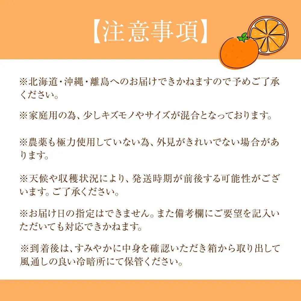 家庭用 森本農園の手選別ネーブルオレンジ 約8kg 和歌山県産 サイズ混合 ［北海道・沖縄・離島配送不可］［RN46］［2027年1月上旬から順次発送］