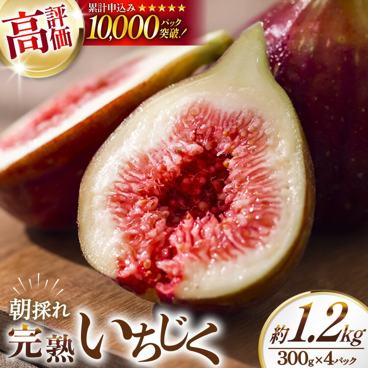 【ふるさと納税】 【期間限定発送】 いちじく 生 完熟 約1.2kg (300g×4パック) [モアショップヤマモト 石川県 宝達志水町 38600615] 果物 くだもの フルーツ ◎
