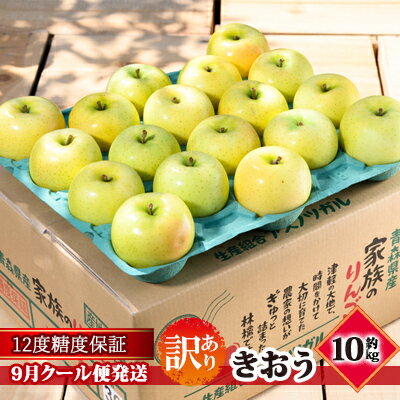 【ふるさと納税】【9月クール便発送】（12度糖度保証）訳あり品 家庭用 きおう約10kg【 青森りんご 果物類 林檎 リンゴ 青森県産 フルーツ 旬の果物 産地直送 訳アリ 】　お届け：2026年9月中