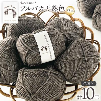 ふるさと納税 江南市 あみもねっと アルパカ天然色並太 7番色 10玉セット