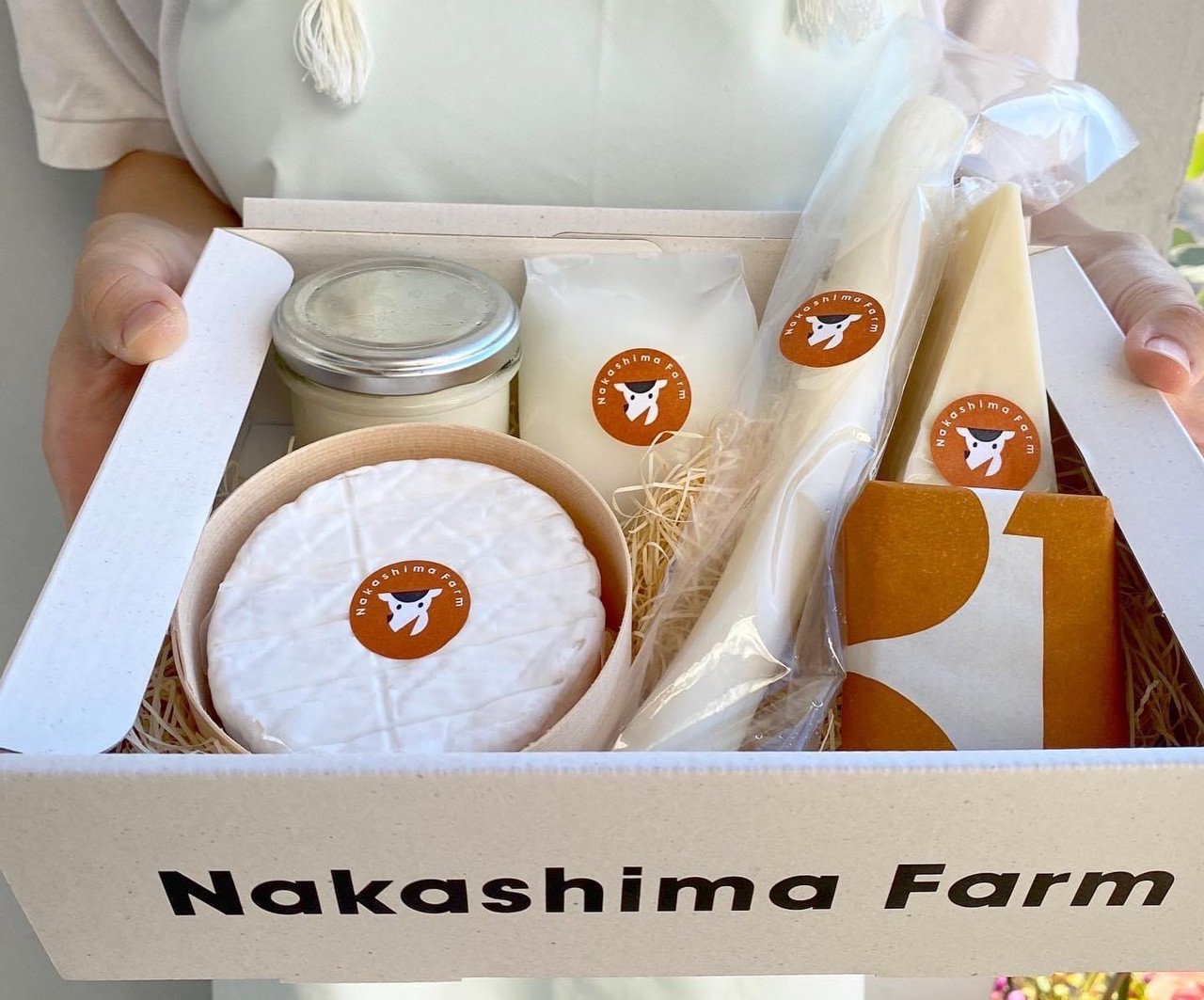 
            【セット】【ナカシマファーム】ナカシマファームうれしのチーズ6種セット(搾りたてのミルクで作ったフレッシュチーズ固定3種と季節のチーズ＆チーズスイーツの中から季節に合わせたチーズ3種)の合計6種
          