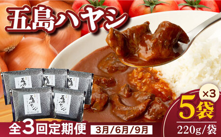 【3回定期便】【五島牛と五島産の食材を使用】こだわりの五島ハヤシ 5袋 五島市 / 出口さんご[PBK015]   ハヤシライス レトルト ブランド牛 五島牛 トマト たまねぎ 本格 お取り寄せ