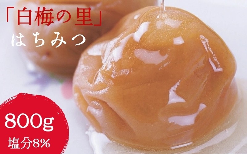 
                  特選 紀州南高梅「白梅の里」はちみつ 約800g 【sekifz030B】
                
